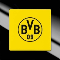 Wechselschalter BVB Fanschalter 2000/6 UJ/01