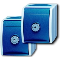 Schuko-Steckdose 2xAP 2 gleiche Schlsser 20/20 EWSL-53
