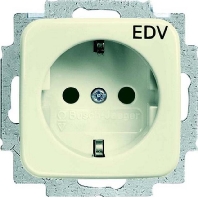 Socket outlet (receptacle) 20 EUC/DV-212