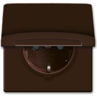 Schuko-Steckdoseneinsatz IP44 braun 20 EUGKB-31-101
