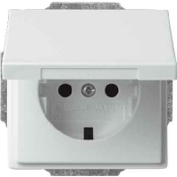 Socket outlet (receptacle) 20 EUK-81