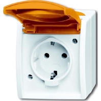 Steckdose alpinwei, Aufputz 20 EWN-14-54