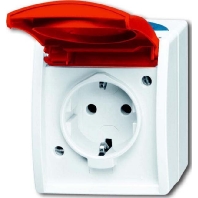 Schuko-Steckdose mit EDV/Namensschild 20 EW/DVN-53