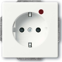 Steckdosen-Einsatz S, studiows matt 2310EUGL/VA-884-11