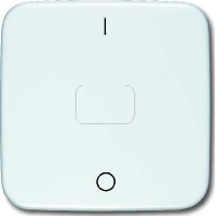 Cover plate for switch/push button white 2544-214