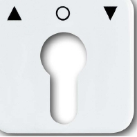 Zentralscheibe aws f.Profilhalbzylinder 2557 PZ-214-101