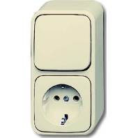 Combination switch/wall socket outlet 2601/6/2300 EAP