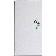 Touch rocker for home automation 6234-21-83