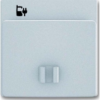 Zentralscheibe eds f.USB-Ladest-Einsatz 6478-866