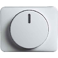 Zentralscheibe ti fr Drehdimmer 6540-266