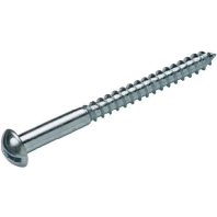 Wood screw 4x40mm 19 0162