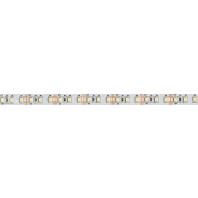 Light ribbon-/hose/-strip white LSTR SB 20 24 603502