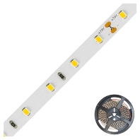 Light ribbon-/hose/-strip STR2024302802