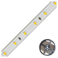 LED-Strip 24V 5m 3000K STR6724302802