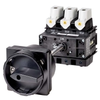 Hauptschalter Zwischenbau P5-250/V/SVB-SW
