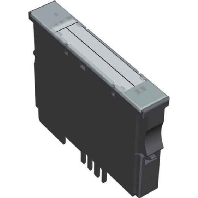 Fieldbus digital module 0 In / 2 Out XN-2DO-R-NO