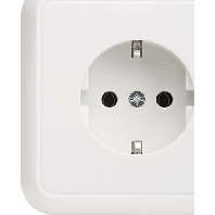 Socket outlet (receptacle) 205024