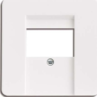 Central cover plate TAE 206010