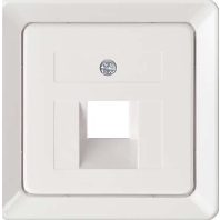 Central cover plate UAE/IAE (ISDN) 206404