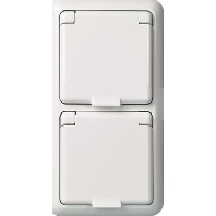 UP-Steckdose 2-fach IP44 reinwei 225414