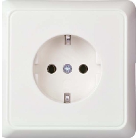 Socket outlet (receptacle) 245000