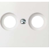 Central cover plate 266024