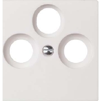 Central cover plate 266034