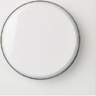 Cover plate for dimmer white 267014