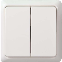 Series switch surface mounted 501500