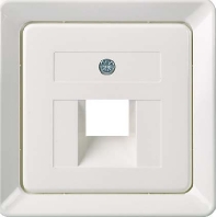 Zentralplatte UAE 1xRJ45 reinwei� 503654