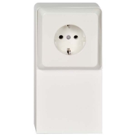 Socket outlet (receptacle) 505404