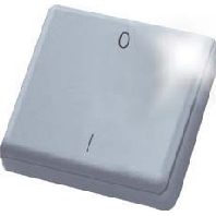 Remote control for switching device FMH2-ws