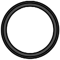 Sealing ring 19980110