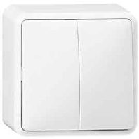 Series switch surface mounted white 010513