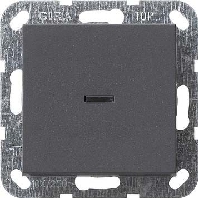 2-pole switch flush mounted anthracite 012228