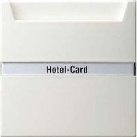 Hotel-Card-Taster rws S-Color 014040