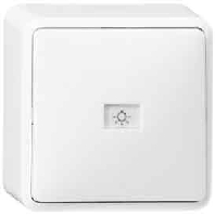 Push button 1 change-over contact white 015613