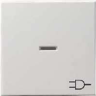 Wippe Kontrollf. rws +Symbol Steckdose 020927