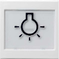 Wippe Licht rws-gl 021603