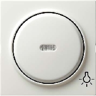 Cover plate for switch/push button white 028540
