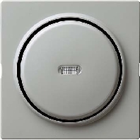 Cover plate for switch/push button grey 029042