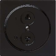 Central cover plate 040247