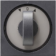 Abdeckung m.Knebel anth Jalousie, System55 066628