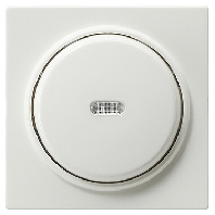 2-pole switch flush mounted white 012240