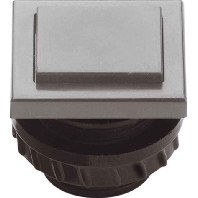 Door bell push button flush mounted PROTACT 680 KS