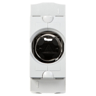 D0-system fuse base 1xD02 63A LD043