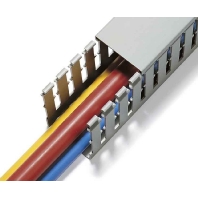 Slotted cable trunking system 60x25mm HTWD-PW-25X60