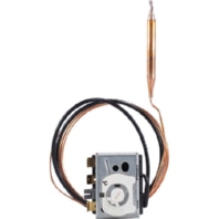 Temperature switch