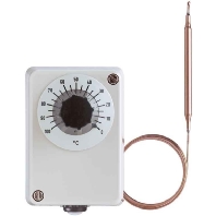 Thermostat ATHf-1 0-100 Grad C 603021/01-2-025
