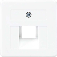 Zentralplatte f�r IAE/UAE-Dose 169-1 UAE WW